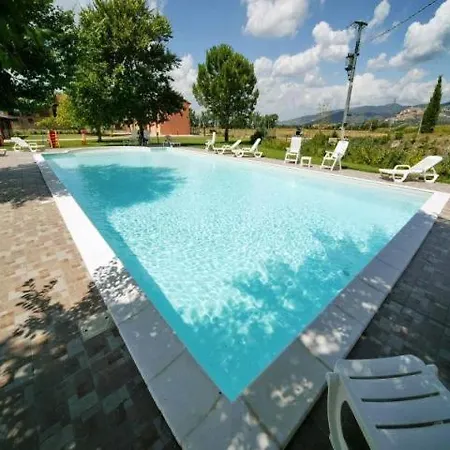 Natalini Trevi