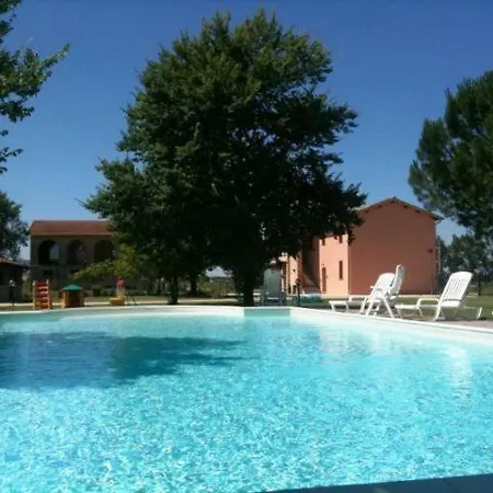 Natalini Trevi *