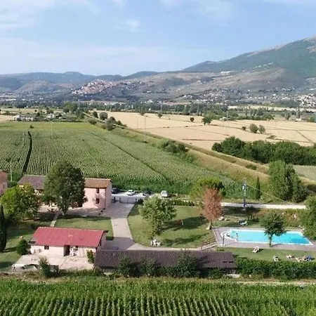 Natalini Trevi